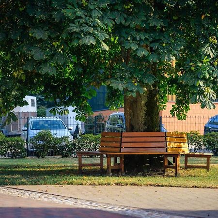 Pferdeparadies Untergruenhagen Bad Fallingbostel Eksteriør bilde